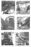 Image of sheet 19840620 photo 37: Press archive printed media published with the use of a photography by Olivia Heussler: booklet Bob Ostertag.